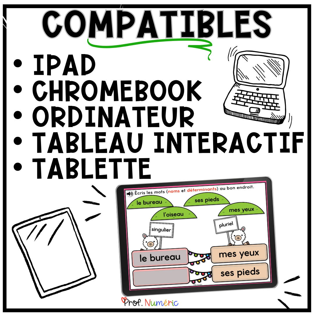 400 BOOM CARDS GRAMMAIRE - 1re