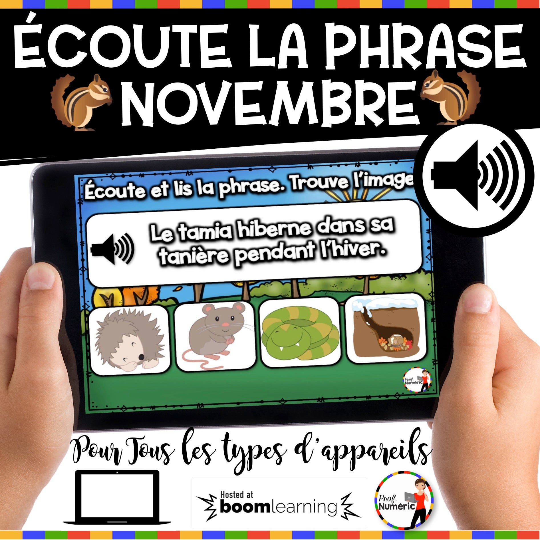 100 Boom Cards - 5 Au Quotidien - NOVEMBRE - 1er cycle - Prof Numéric