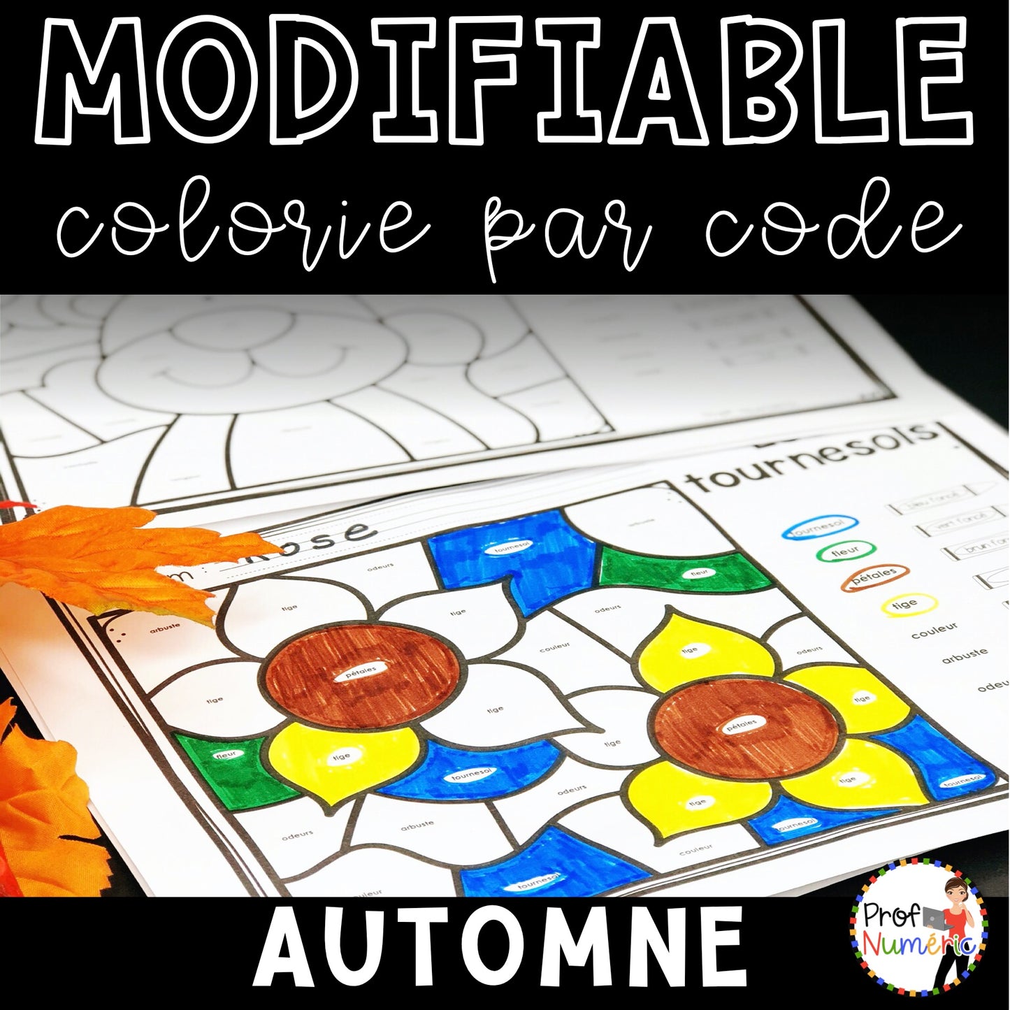 Colorie par code MODIFIABLE/ ENSEMBLE COMPLET