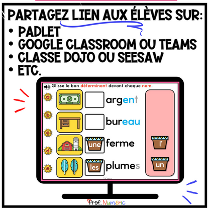 400 BOOM CARDS GRAMMAIRE - 1re