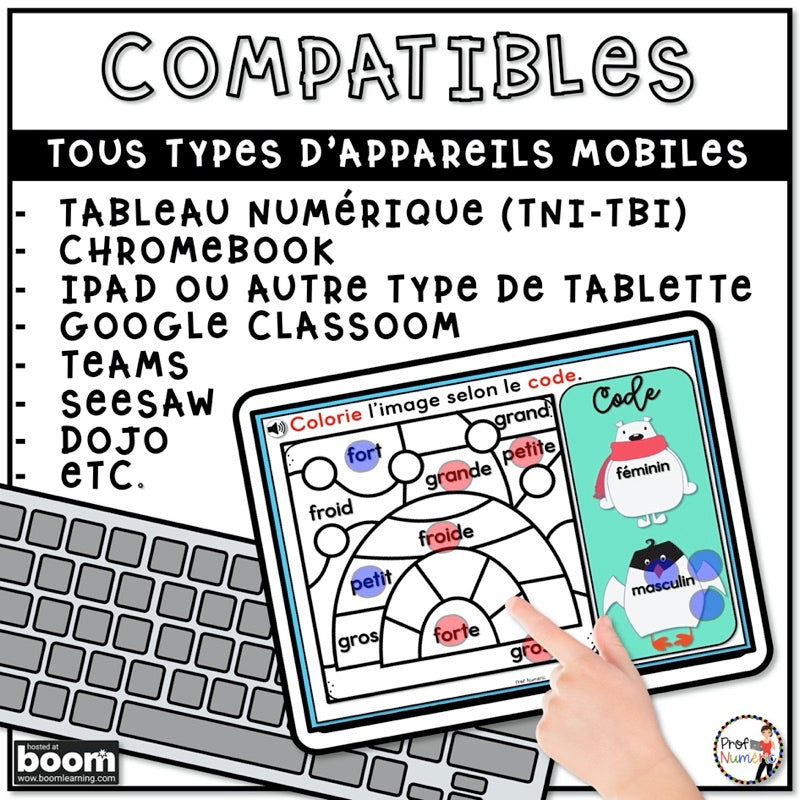 800 BOOM CARDS GRAMMAIRE - 4 tâches par deck - 2e