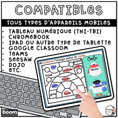 800 BOOM CARDS GRAMMAIRE - 4 tâches par deck - 2e