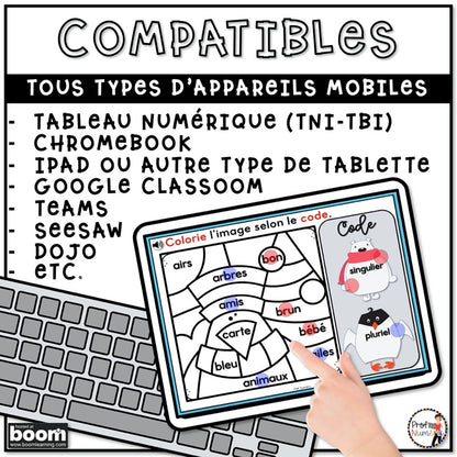 800 BOOM CARDS GRAMMAIRE - 4 tâches par deck - 1re