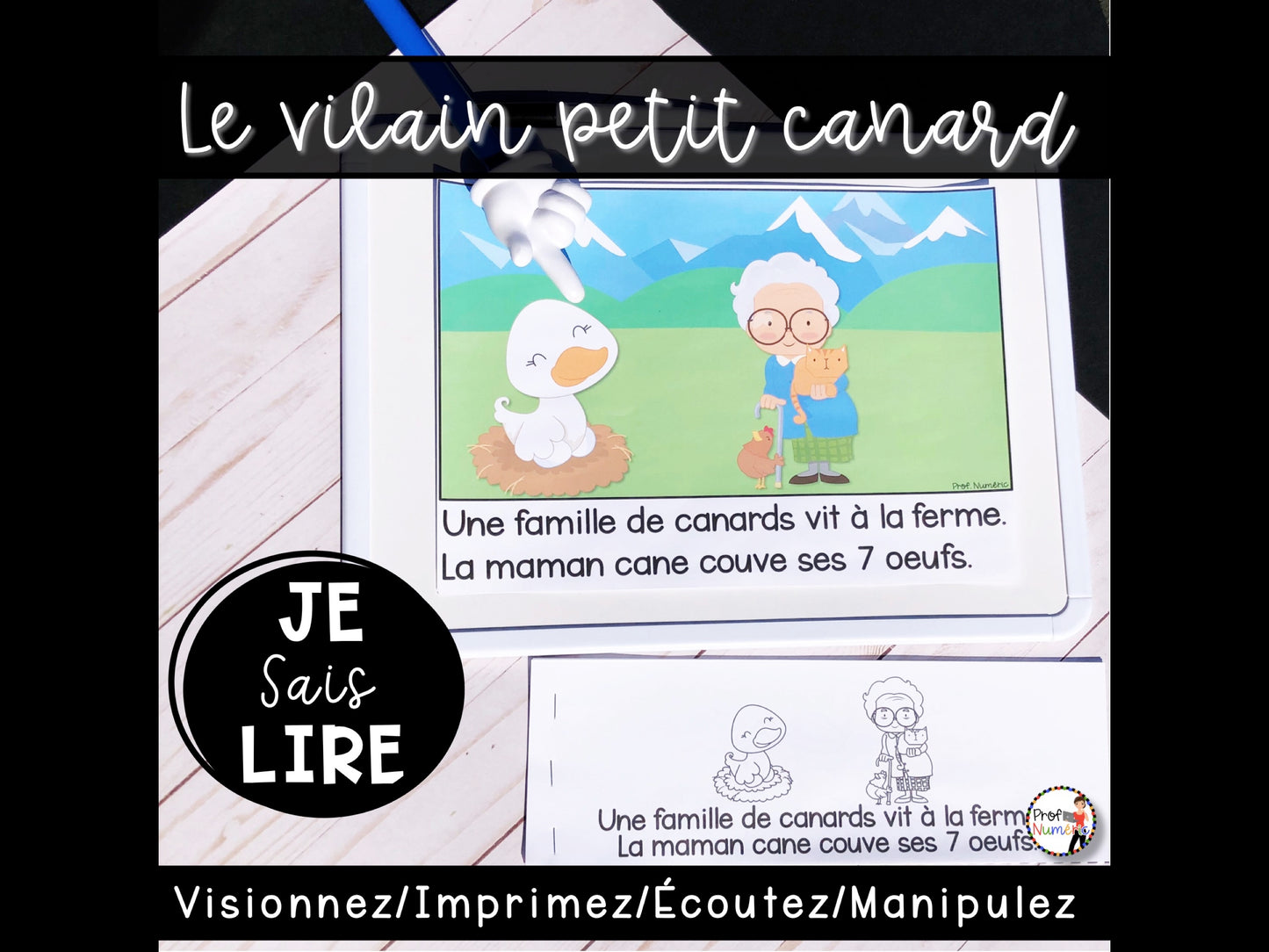 Conte - Le vilain petit canard - BOOM CARDS - TNI - PDF - Je sais lire - Prof Numéric